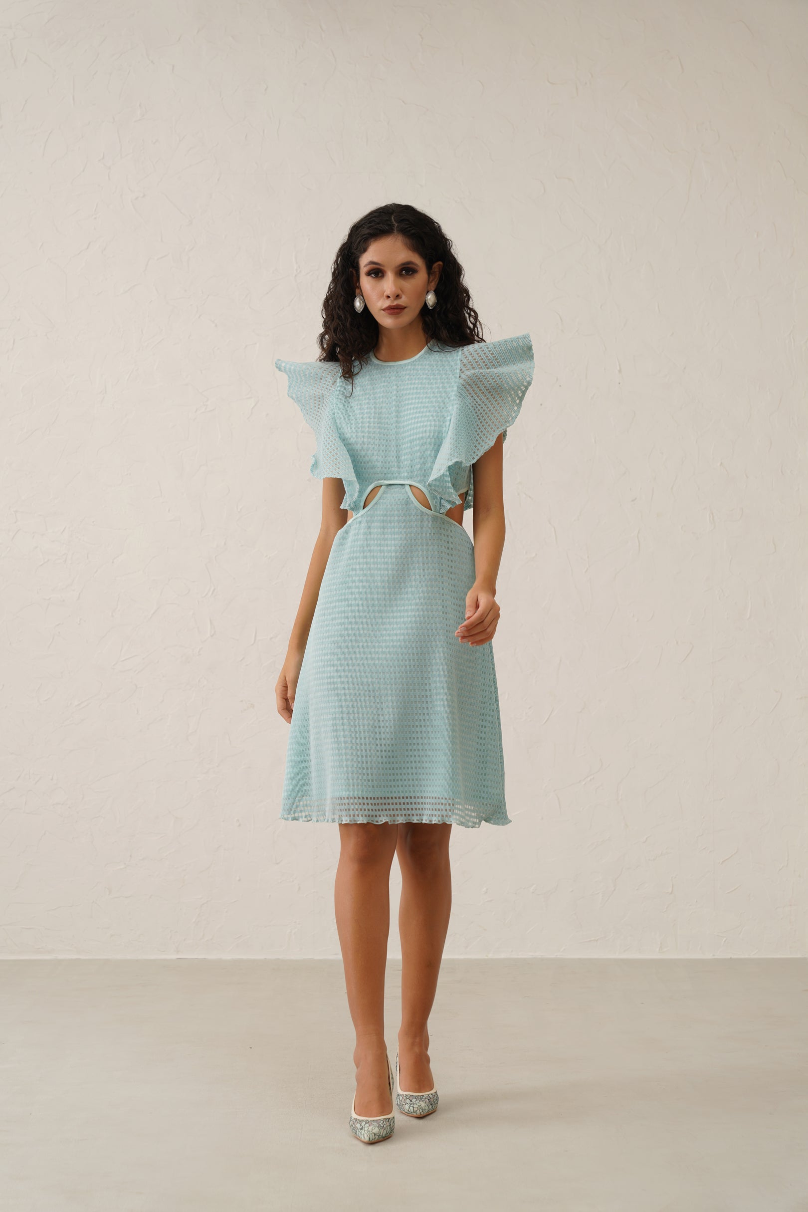 Ruffle Delight Dress